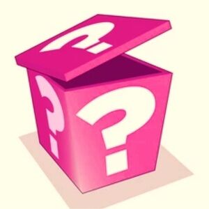 Women’s Mystery Reseller Box/Bag! 5-7 Items